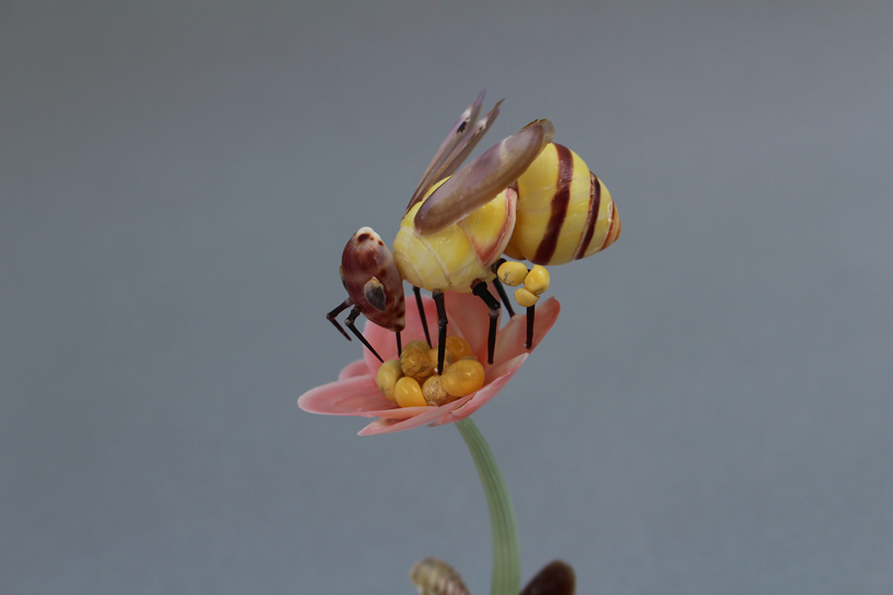 かいのどうぶつえん（昆虫類館）：ミツバチ20