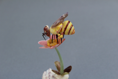かいのどうぶつえん（昆虫類館）：ミツバチ18
